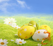 Easter Eggs sitting on grass Easter Eggs sitting on grass