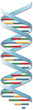 DNA