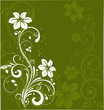 floral background