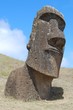 Tilted Moai Head, Easter Island