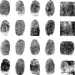 vector black finger prints