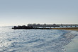 mare