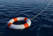 Buoy Ring