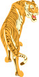 The growling tiger who is climbing up upwards on a grief
