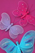 butterflies