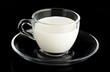 Tazzina di Latte