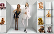 shelf and dolls