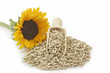 Foto: Sonnenblumenkerne Sonnenblumenkerne