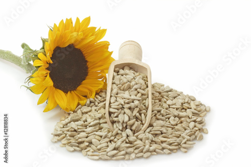 Photo: Sonnenblumenkerne Sonnenblumenkerne
