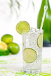 Gin & Tonic