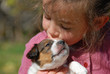 fillette et bébé jack russel terrier fillette et bébé jack russel terrier