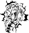 Roaring Tiger