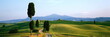 Zypresse Wanderweg Monte Amiata,Val d' Orcia Toskana,Italien
