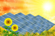 Pannelli solari fotovoltaici