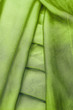 Green Silk Scarf