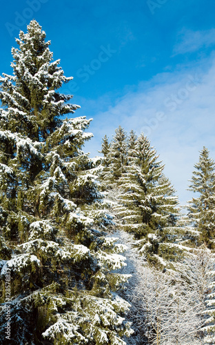 Foto: winter mountain landscape winter mountain landscape