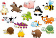 Cartoon animals and pets