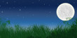 ciel de pleine lune en campagne ciel de pleine lune en campagne