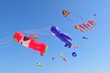 Buhamad Kites Team