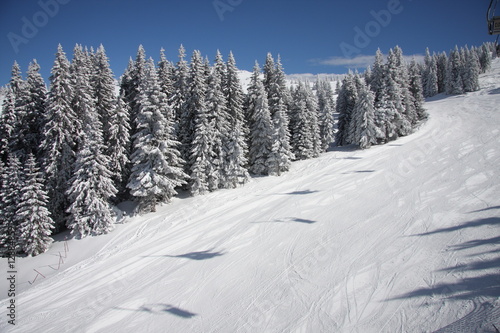 Foto: Empty piste in the morning on Kopaonik, Serbia Empty piste in the morning on Kopaonik, Serbia