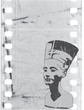 vector head of Nefertiti