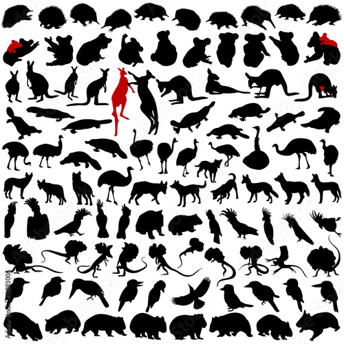 Hundred silhouettes of wild rare animals from Australia