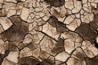 Cracked Mud