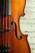 part of an antique violin