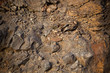 Rock-background