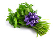Bouquet of parsley tied with a bow on white background