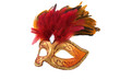 Bright fancy mask