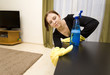 Photo en ligne au meilleur prix House cleaning