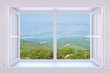 Window to nature