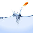 Jumping Goldfish Jumping Goldfish