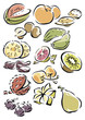 différents fruits