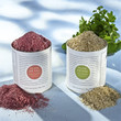 Foto: salt salt