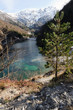 primavera in Alpi