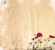 Photos : vintage flower paper