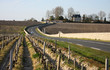 vignoble des saint julien en Médoc (33) vignoble des saint julien en Médoc (33)
