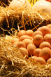 oeufs et paille