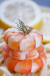 Shrimps on pasta