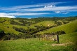 Green rolling hills