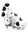coin floral multi roses noires et papillons
