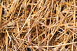 Straw (0157)