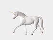 Einhorn