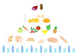 Illustration of  nutrition/food  pyramid