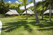 tropic garden with palms and bungalows
