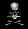 Teschio Pirata
