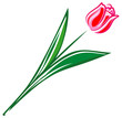 Vettoriale: Tulip flower Tulip flower