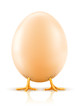 Illustration: hen's egg with chicken baby inside hen's egg with chicken baby inside